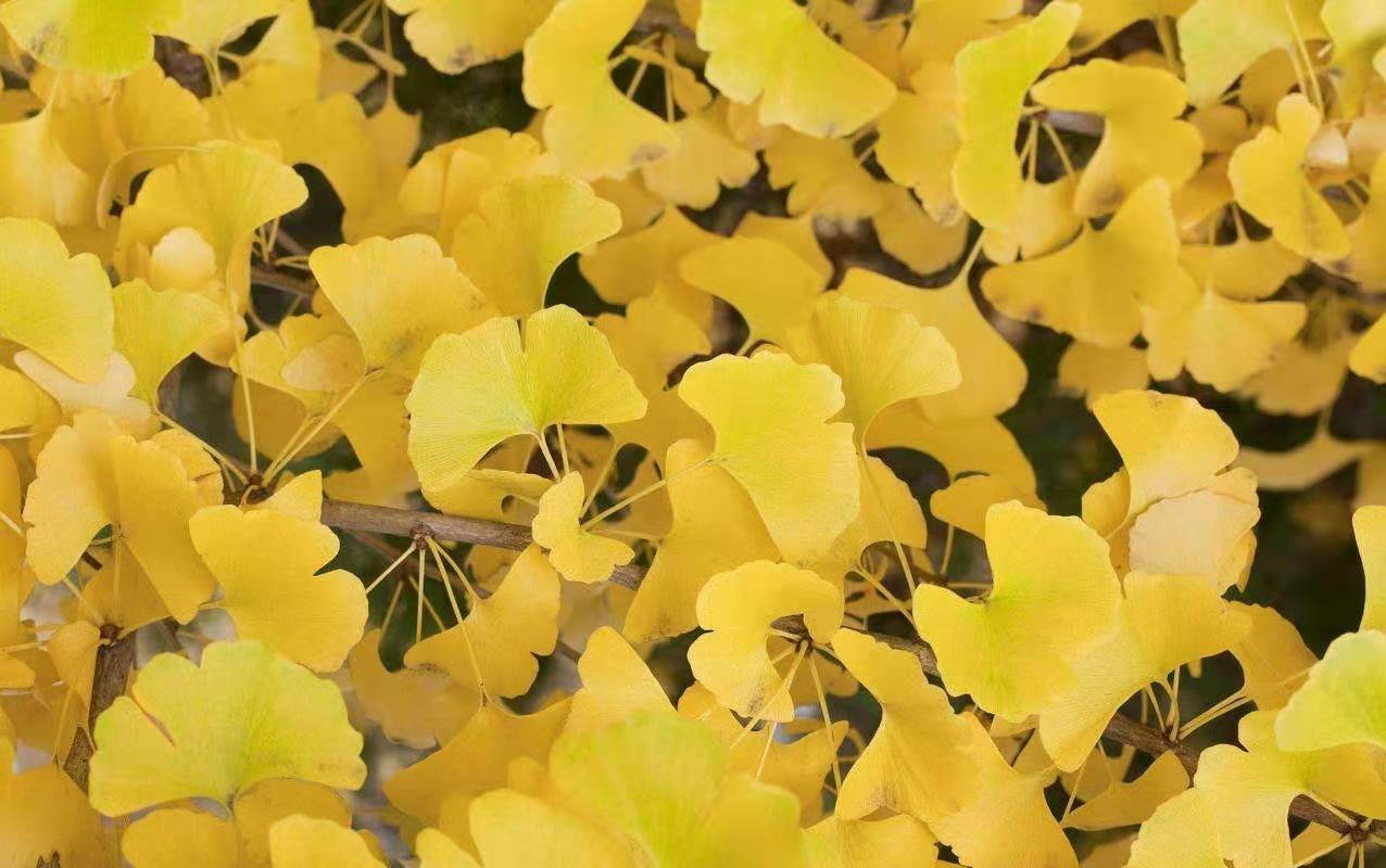 3ec174651744b5e3327cadf8a7b2fb3