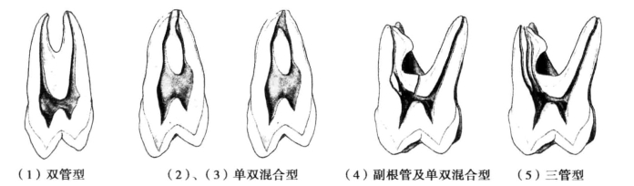pagenumber_ebook=46,pagenumber_book=37