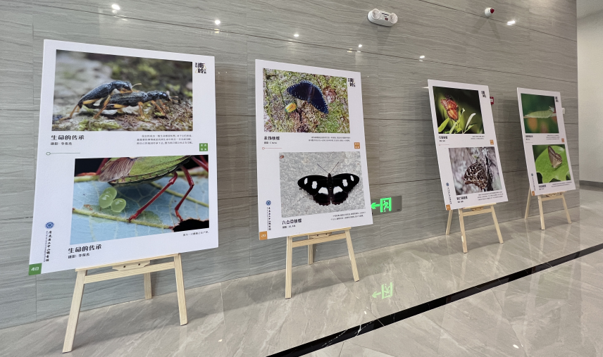 1680061586060 1680061586060