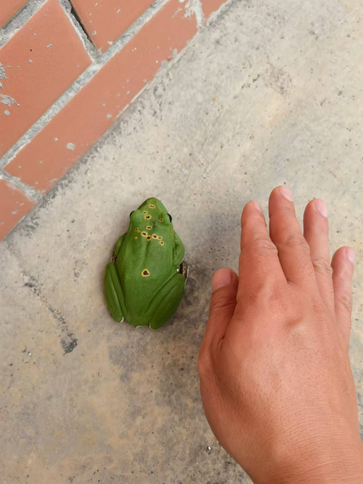 image.gif