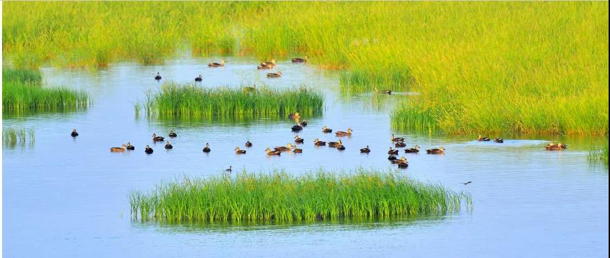 微信图片_20211222112614 微信图片_20211222112614.jpg