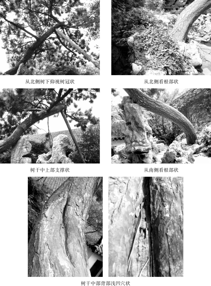 pagenumber_ebook=99,pagenumber_book=99