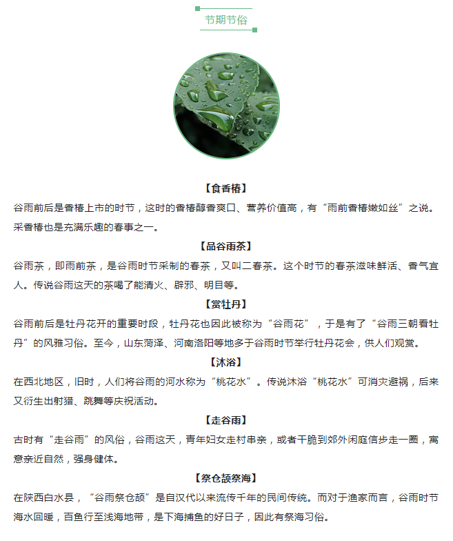 图片.png?v=1731461289748