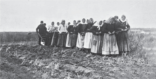 pagenumber_ebook=255,pagenumber_book=250