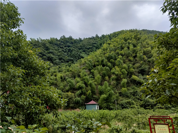 微信图片_20230714205505 微信图片_20230714205505.jpg