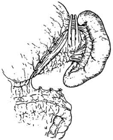 pagenumber_ebook=507,pagenumber_book=492