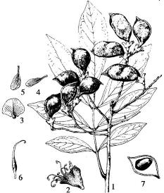 pagenumber_ebook=102,pagenumber_book=102