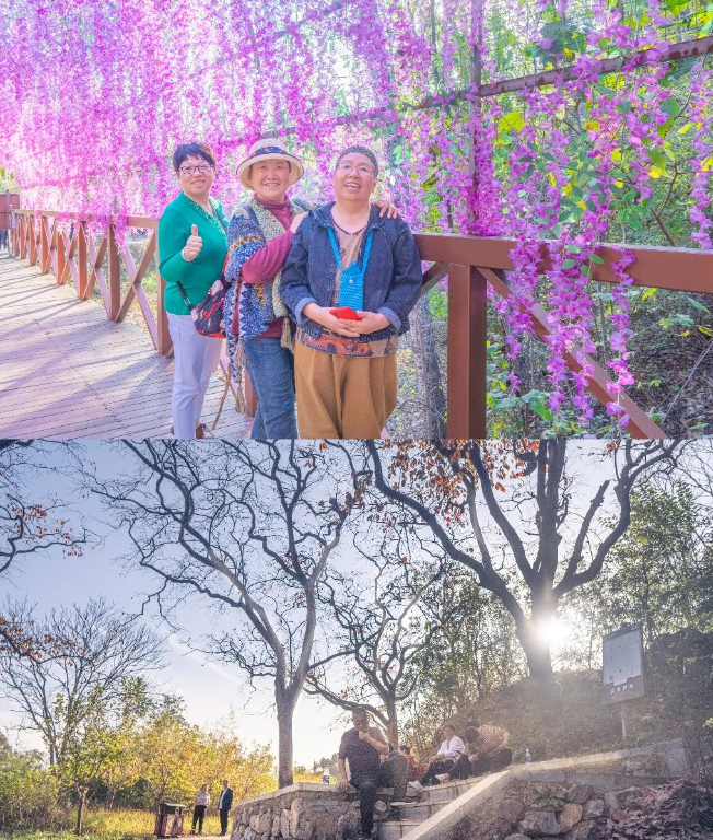 1699326817906 1699326817906.png