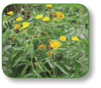 pagenumber_ebook=203,pagenumber_book=190