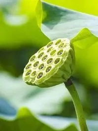 image image.png?v=1770180458956