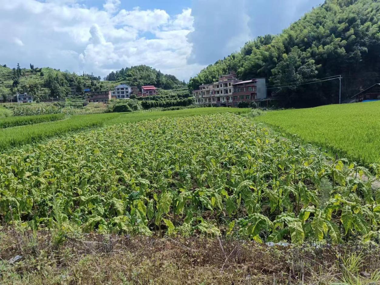 wps_doc_7 wps_doc_7.jpeg