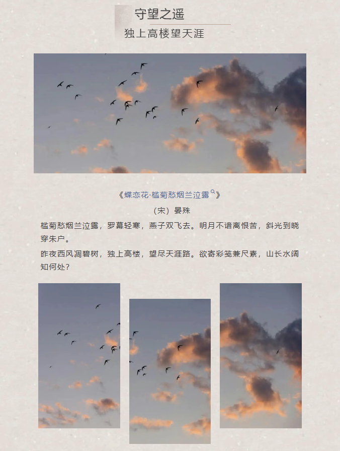 image.png?v=1766232863900