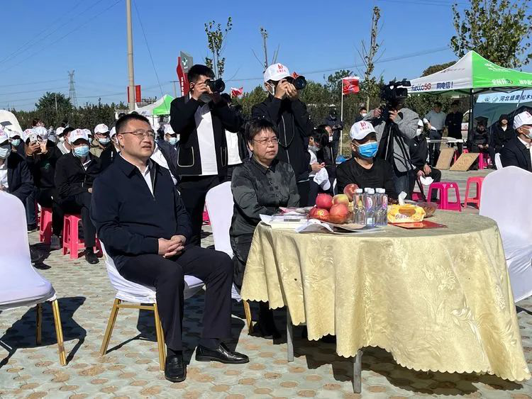 4 4.png?v=1763325746280