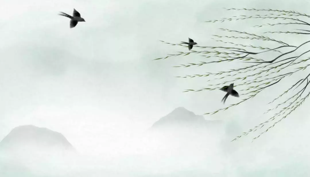 20180204112759_p46uidf0af 20180204112759_p46uidf0af.png?v=1769798591656