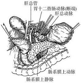 pagenumber_ebook=493,pagenumber_book=478