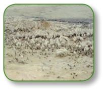 pagenumber_ebook=83,pagenumber_book=70