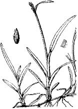 pagenumber_ebook=245,pagenumber_book=245