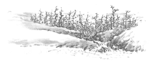 pagenumber_ebook=177,pagenumber_book=155