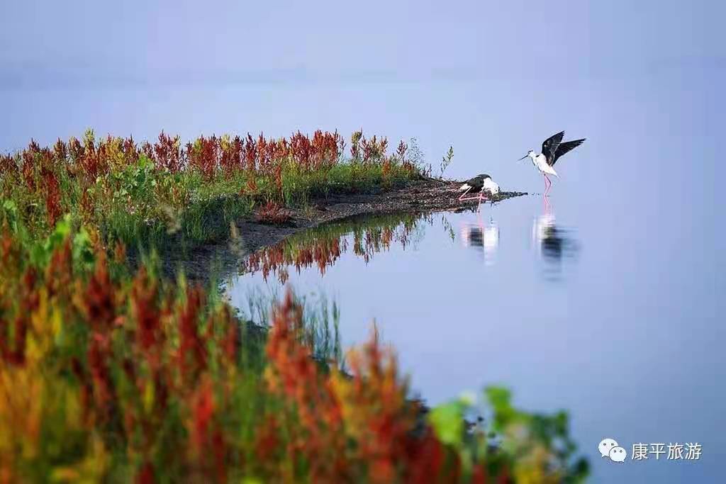 620b2e16d92b2c13a969710c58b68a2 620b2e16d92b2c13a969710c58b68a2.jpg