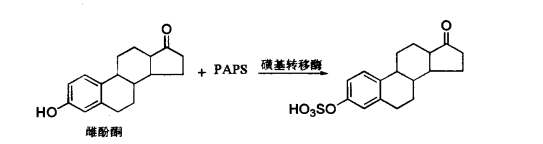 pagenumber_ebook=570,pagenumber_book=552
