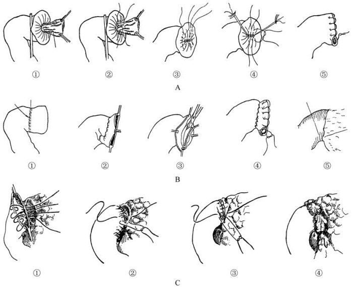 pagenumber_ebook=152,pagenumber_book=137