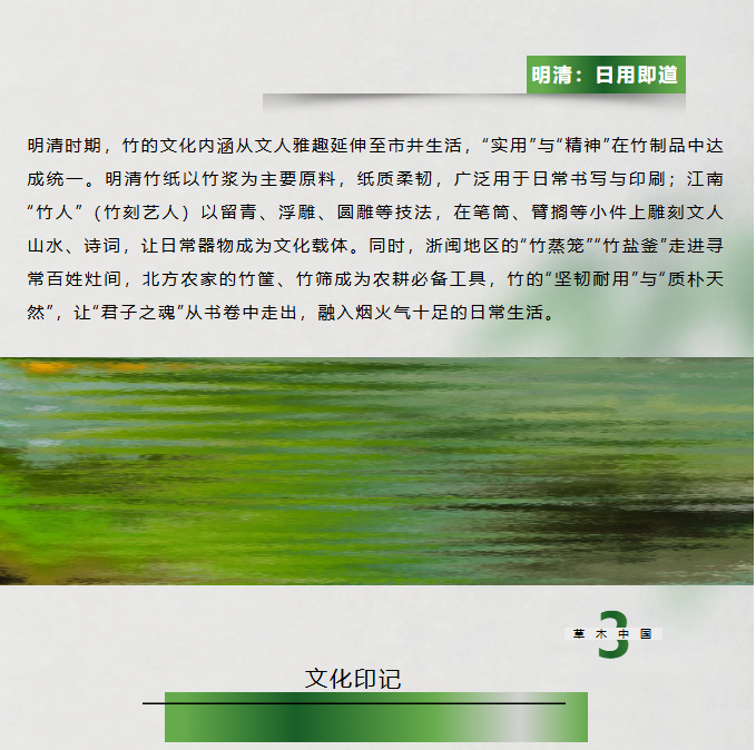 image.png?v=1762126139768