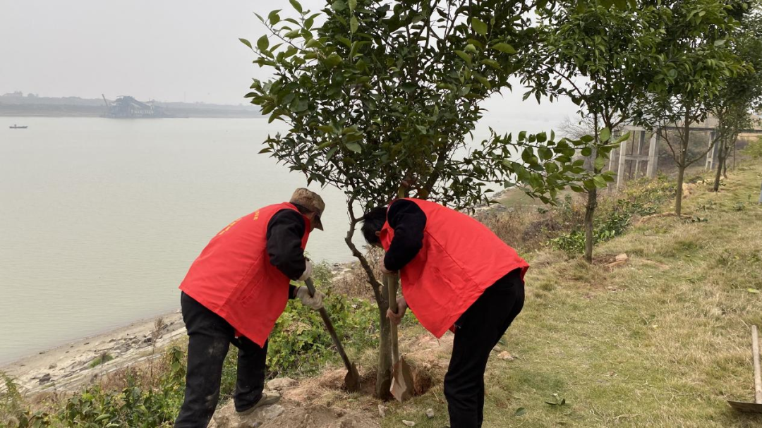 1 1.png?v=1765880605836