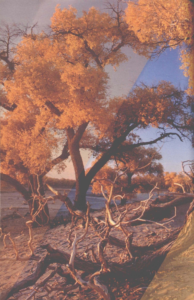 pagenumber_ebook=125,pagenumber_book=117