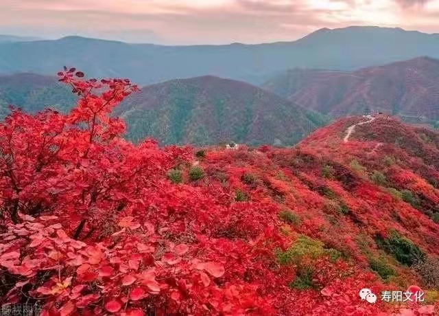 d37f34f4dbef0fa08a7eaa86fe9e756 d37f34f4dbef0fa08a7eaa86fe9e756.jpg