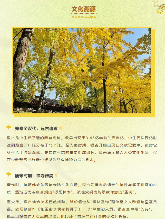 image.png?v=1762073802454