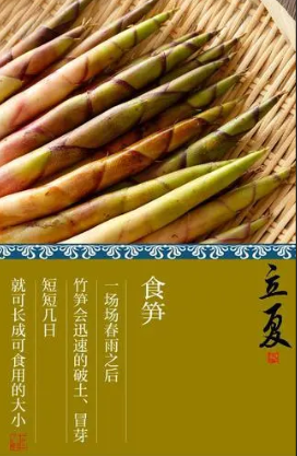 图片 图片.png?v=1761705788464