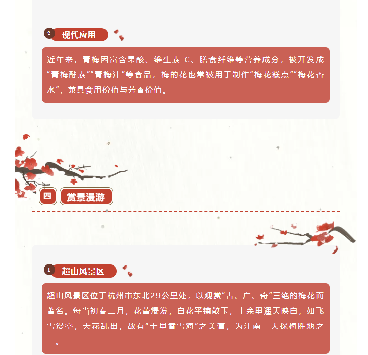 image.png?v=1762124709276