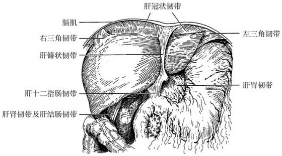 pagenumber_ebook=461,pagenumber_book=446