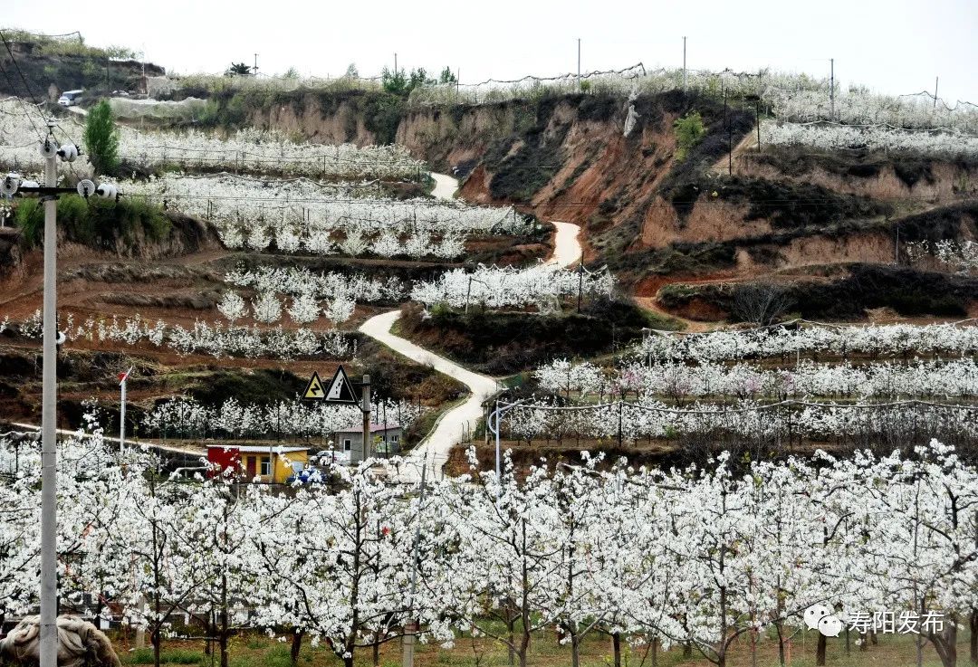 6acda04767ce98ab9d77eab212cd2478_640_wx_fmt=jpeg&wxfrom=5&wx_lazy=1&wx_co=1 6acda04767ce98ab9d77eab212cd2478_640_wx_fmt=jpeg&wxfrom=5&wx_lazy=1&wx_co=1.jpg