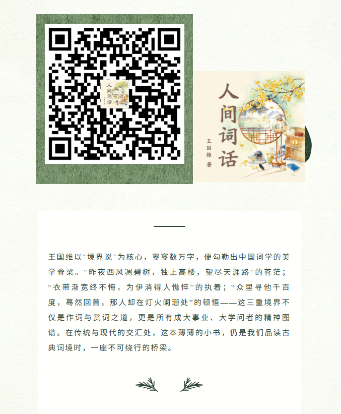 image.png?v=1770178027125