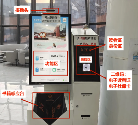 image image.png?v=1770169244251