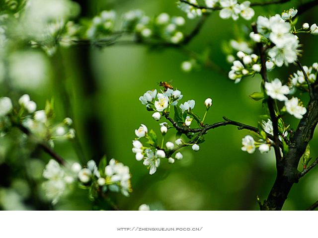 src=http___img1001.pocoimg.cn_image_poco_works_26_2007_0404_02_3302115020070404103737484_001_33021150.jpg&refer=http___img1001.pocoimg src=http___img1001.pocoimg.cn_image_poco_works_26_2007_0404_02_3302115020070404103737484_001_33021150.jpg&refer=http___img1001.pocoimg.jpg