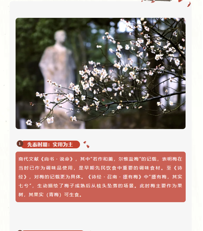 image.png?v=1762124709276