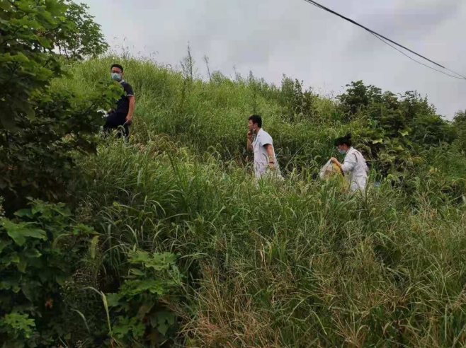 2 2.png?v=1765960215404