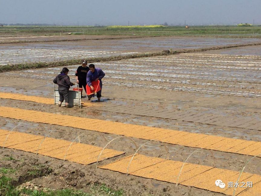 2 2.jpg?v=1765946740506