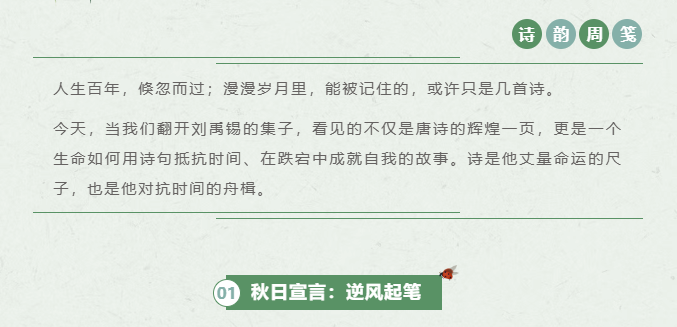 image.png?v=1770178028045