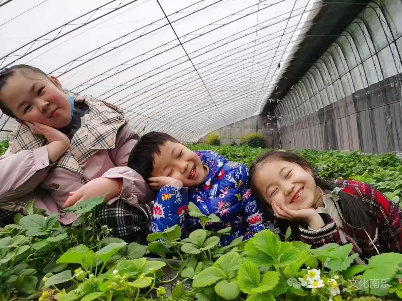 微信图片_20260507083329_70_132 微信图片_20260507083329_70_132jpg