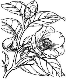 pagenumber_ebook=148,pagenumber_book=148