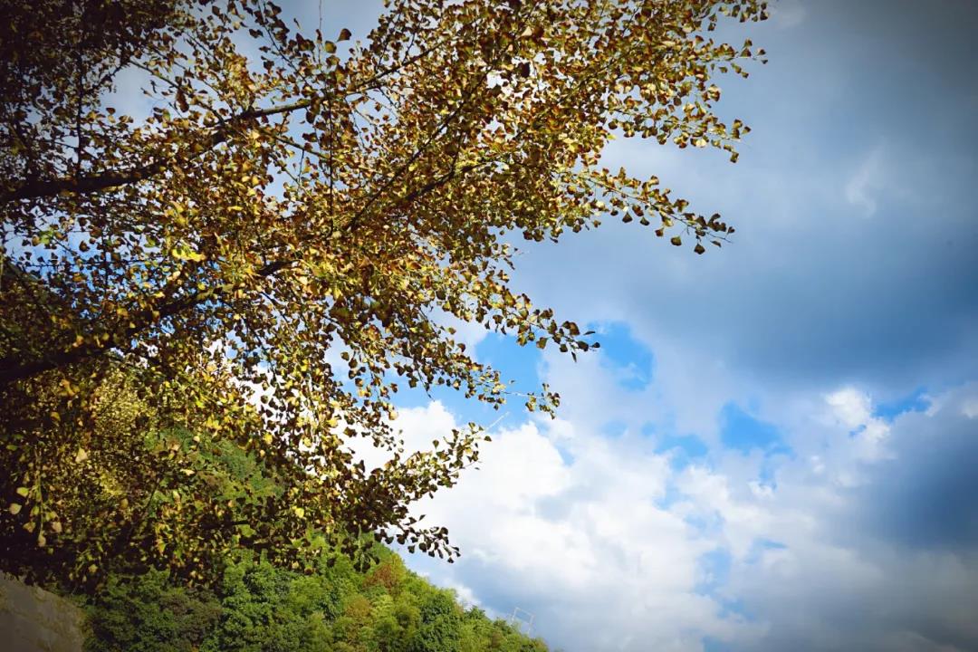 微信图片_20201124233846