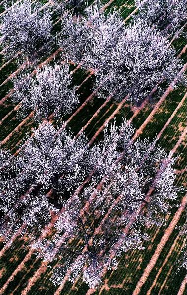 微信图片_20210318082739