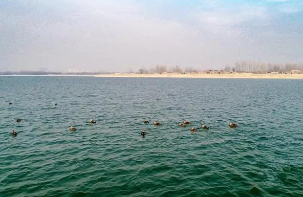 微信图片_20210318100113 微信图片_20210318100113.jpg