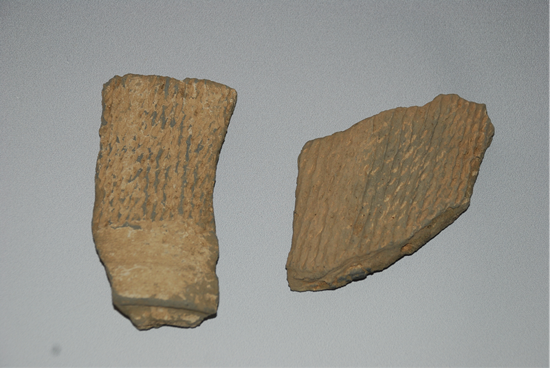 康仁梁城址标本_副本 康仁梁城址标本_副本.png