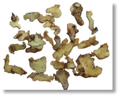 pagenumber_ebook=286,pagenumber_book=273