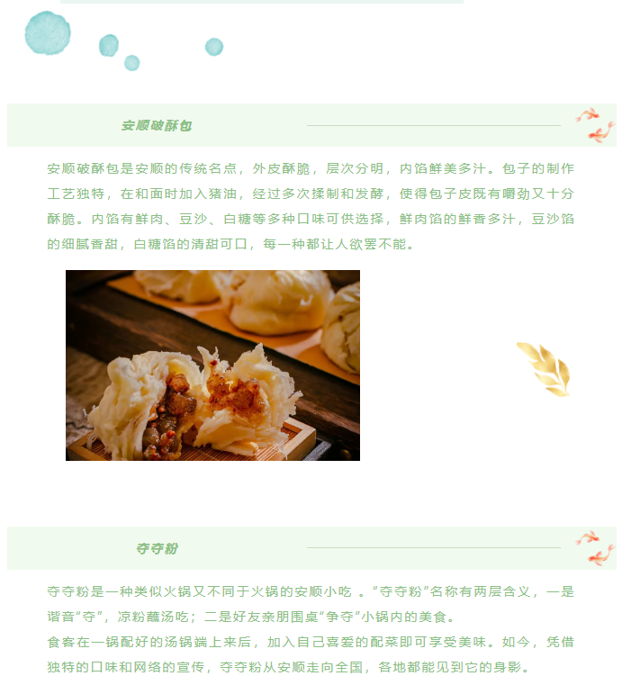 image.png?v=1751558967926