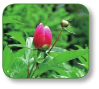 pagenumber_ebook=75,pagenumber_book=62